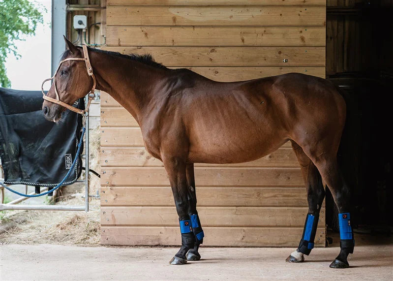 Polo Bandages