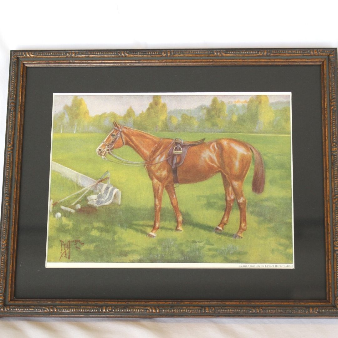 1923 Polo Pony Print by Edward Herbert Miner