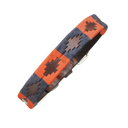 Audaz Dog Collar by Pampeano - Burnt orange and navy blue