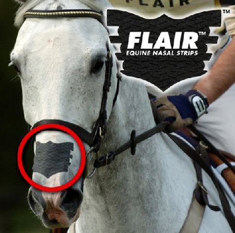 FLAIR Nose Strips - Single Packs