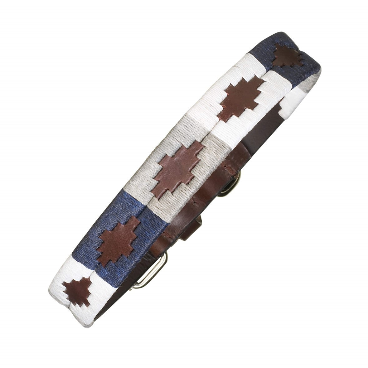 Argentinian dog hot sale collar
